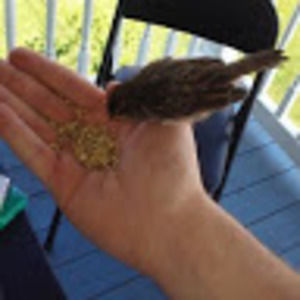 Meet your Posher, Jose